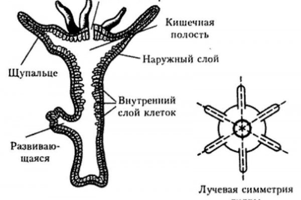 Омг у