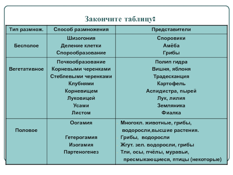 Омг даркмаркет