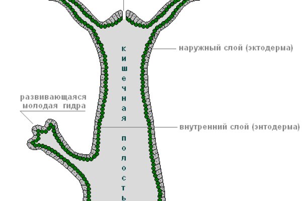 Ссылка омг сайт официальный сайт